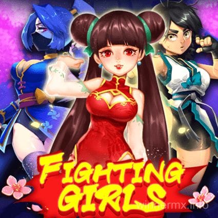 Imagen del juego Fighting Girls